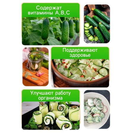 Семена Огурец "Хрустик", 0,5 г-2