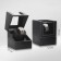 Casket for watching watches, with auto