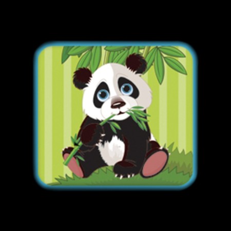 Projector "My pet. Panda ", with slides-5