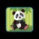 Projector "My pet. Panda ", with slides