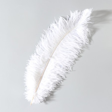Feather of ostrich 35-40 cm, white-1