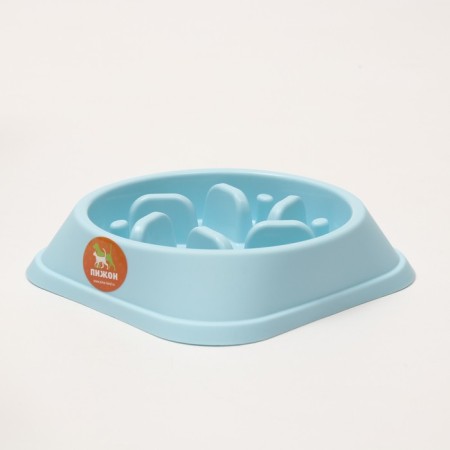 Limit feeding bowl, from overeating, 20 x 20 x 4.5 cm, blue-2
