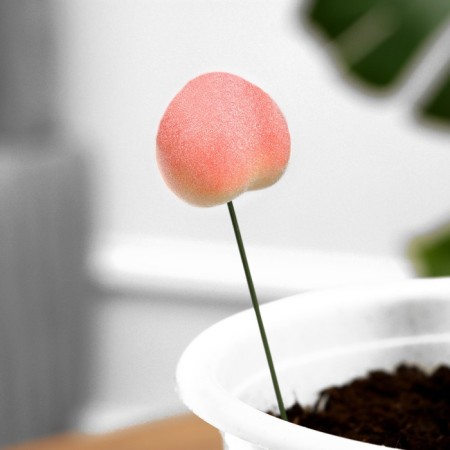 Set of plugs "Persik" 10pcs, 3cm, length 25cm-1