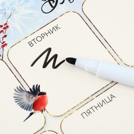 New Year. Magnetic planing A5 and erasing marker “Magic in the New Year! With Santa Claus "-1
