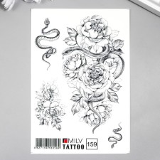 Tattoo on the body 