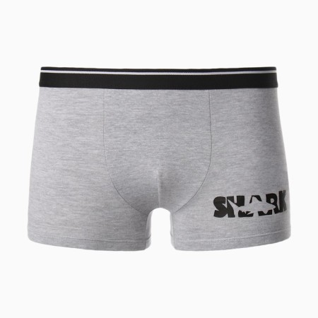 Men's panties "Shark", color gray melange, size 48-5