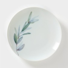 Porcelain plate 