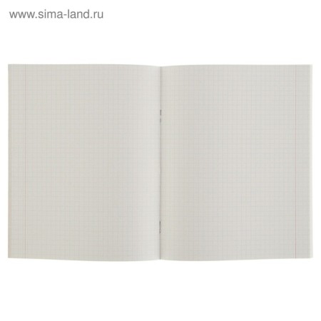 Notebook of 48 sheets in the Calligrata "Russia" cage, cover covered paper, block No. 2, whiteness 75% (gray sheets), mix-2