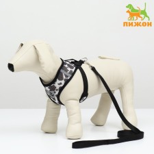 A set for dogs 5-8 kg, size m, leash 120 x 1.5 cm, osh 30 cm, og 39 cm