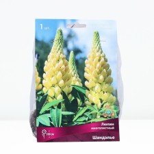 Lupin Multicage 