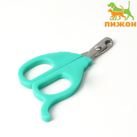 Small scissors are small with an emphasis for the finger, green