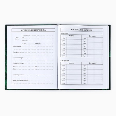 School diary for grade 1-11, in a solid cover, 40 l. "Emerald marble"-2