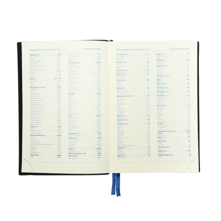 Dated diary 2024, A5, 168 sheets in the ruler, leatherette "Western", blue cut, with an elastic band, blue-6