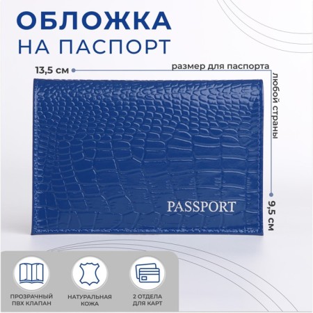 Cover for passport, blue color