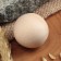 Souvenir "Ball of Health", Osina
