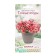 Flower seeds Flower mixture juicy berries, 10 dragees