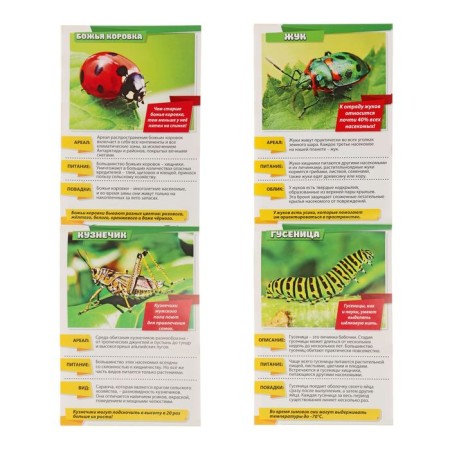 Mini-encyclopedia "World of Animals", 8 pcs. 20 p.-6
