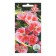Flower seeds Godegia "Sibil Sherwood", 0.2 g