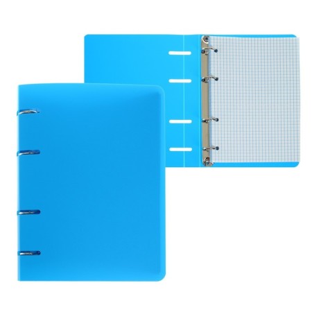 Notebook on rings A5 80 sheets in Calligrata cage is blue, plastic cover, offset unit-1