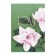 A4 notebook, 80 sheets in the Flora cage, cover coated cardboard, matte lamination, mix