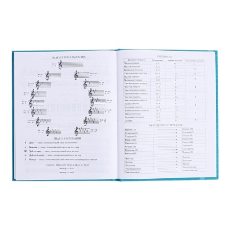 Diary for a music school, 48 sheets, hard cover, matte lamination, foil embossing, reference information, block 60g/m2-12