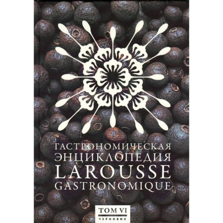 Gastronomic encyclopedia Laruss. Volume 6