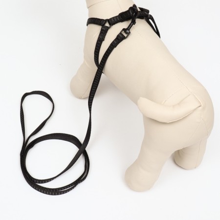 The set is two-layer, leash 130 x 1 cm, og 25-38 cm, black-2
