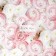 Paper Glossy Pacific "Ranunkulus", 70 x 100 cm