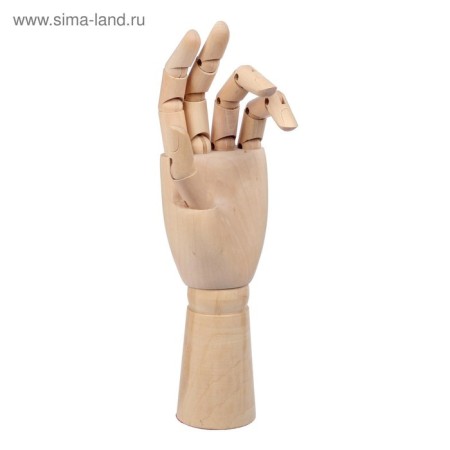 Model wooden hand, male, left, 31 cm-2