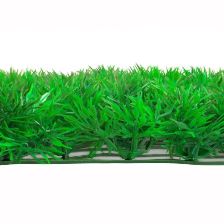 Decorative panel, 60 × 40 cm, "Asparagus", Greengo-13