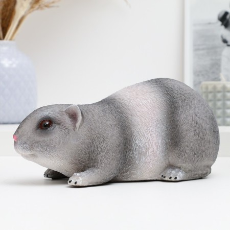 Pig a piggy bank "Guinea pig" 25x12x12cm-1