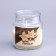 Candle in the bank Aromatic "Sweet Vanilla" 6x8.5cm