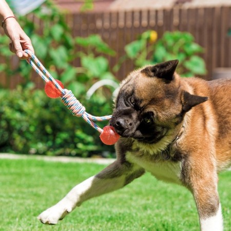 Cable toy with chewing elements "2 infinity", 42 cm, up to 155 g, mix-6