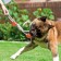 Cable toy with chewing elements "2 infinity", 42 cm, up to 155 g, mix
