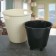 Kashpo for flowers with an insert "Rotang", 20 l (11 l), ivory color