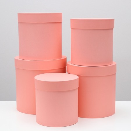 Set of round boxes 5 in 1 "paints", peach, 25 x 25 x 25 - 19 x 19 x 19 cm