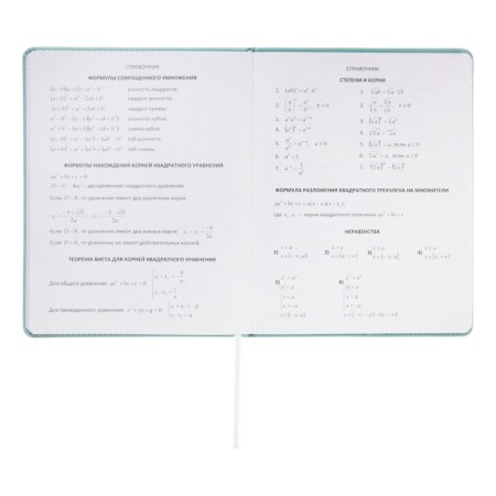 Universal diary for grade 1-11 Modern Concept, solid cover, artificial leather, silkography, liesse, 80 g/m2-8