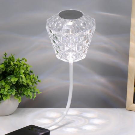 Somani lamp LED touch 3000-6000K 5W USB 10x10x15cm Risalux-1