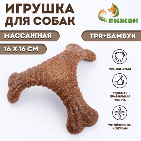 Dog toy "Triangular bone", TPR+bamboo, massage, 16 x 16