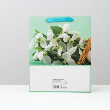 Laminated package, 26 x 32 x 12 cm-1