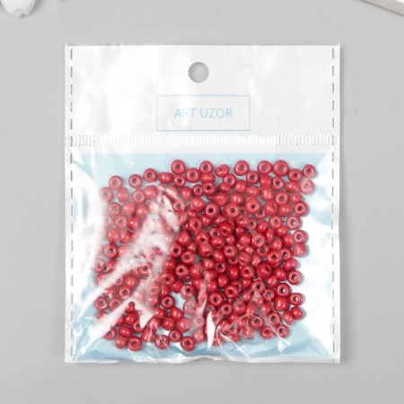 Round beads 6/0 "Dark red" 20 g-2