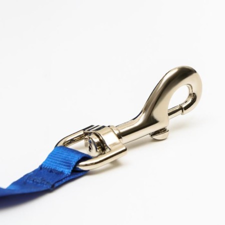 Roulette "Pigger" reflective, 5 m, up to 25 kg, cable, rubberized handle, blue-2
