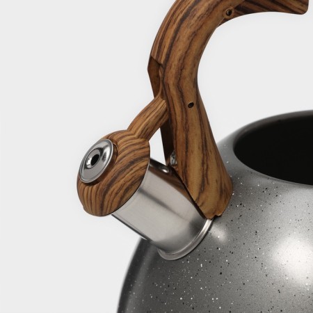 A kettle with a stainless steel whistle Magistro Stone, 2.7 L, Soft-Touch pen, induction, color gray-3