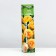 Rosa Golden Selebreishn, spring 2024, 1 pc.