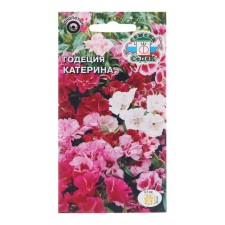 Flower seeds Godegia Katerina 