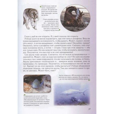 Entertaining biology. Kolpakova O.-6