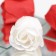 Soap roses, white and red, set of 6 pcs.