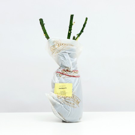 Shard Rosa Schrab "Annie Dyupre", 1 pc, spring 2024-3