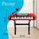 Synthesizer Floor "composer", sound, light effects, with a microphone