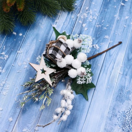Decor "Winter Dreams" Gift to the cage Star Berries, 21 cm